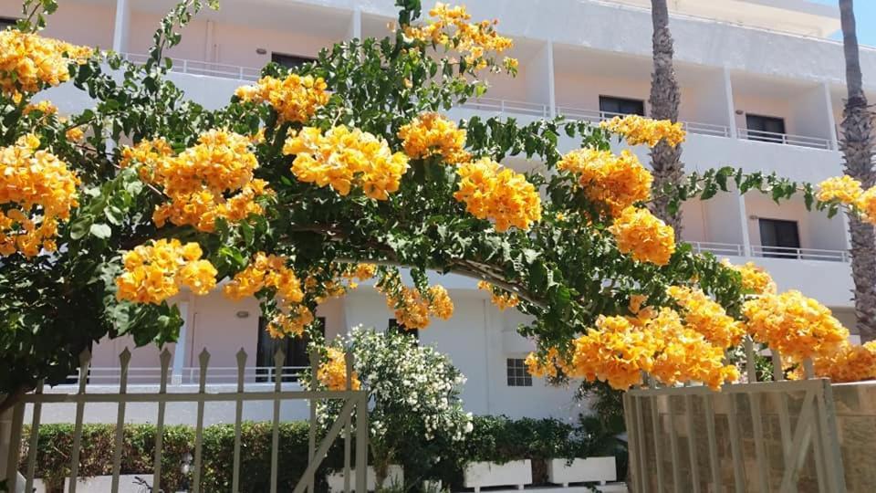 Kardamena Holiday Apartments Bagian luar foto