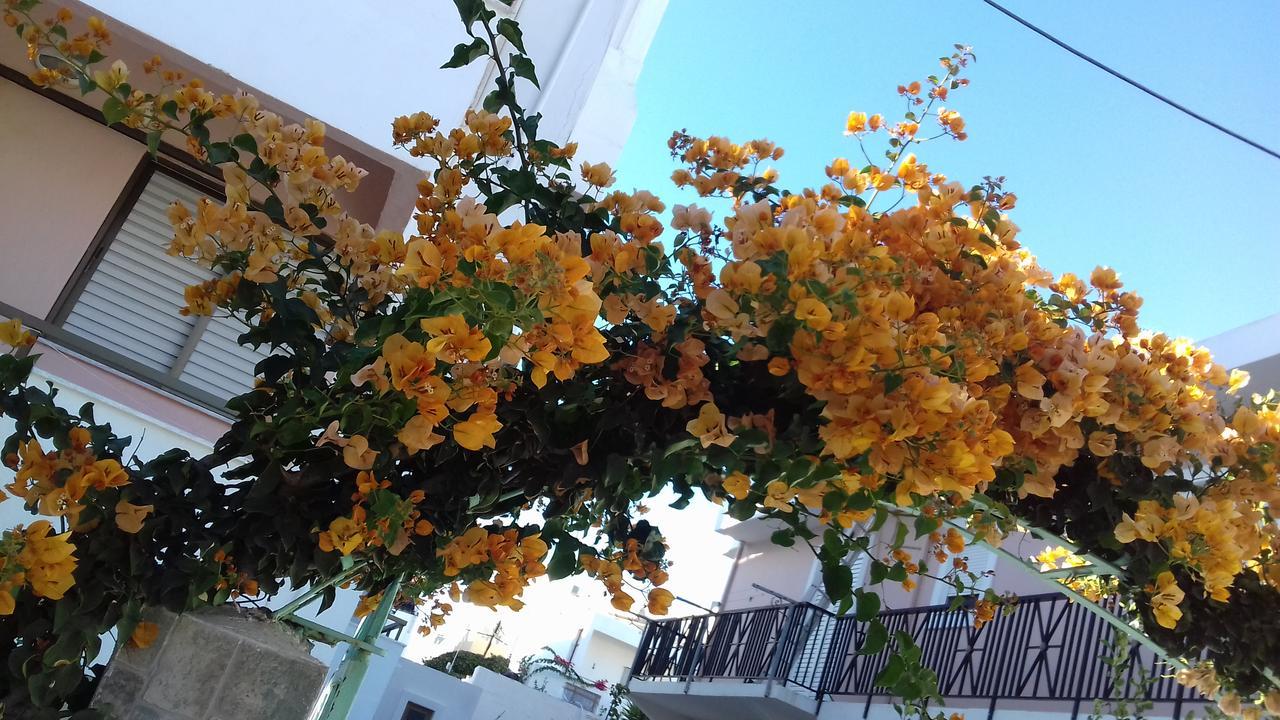 Kardamena Holiday Apartments Bagian luar foto